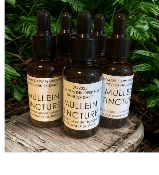 Mullein Tincture-1 OZ.